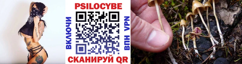 Псилоцибиновые грибы прущие грибы  Купить  Костомукша 