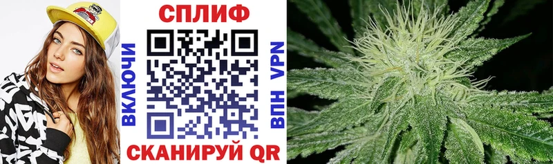 Каннабис SATIVA & INDICA  Купить закладки  Костомукша 